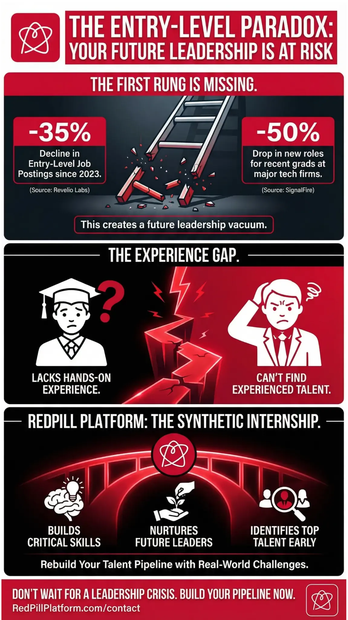 The Entry-Level Paradox: How to Build Your Future Leadership Pipeline Infographic